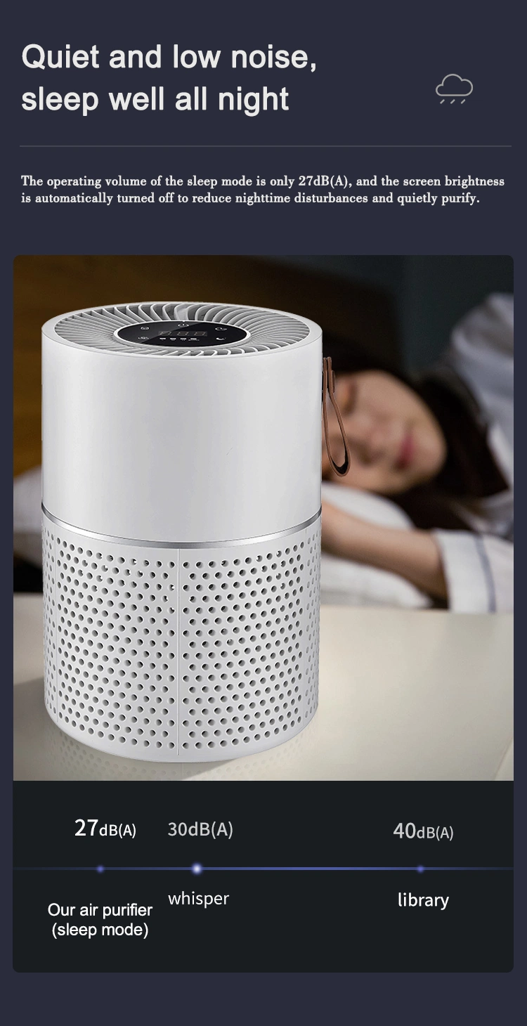 Best Ionizer Air Purifier Bedroom Desktop Kitchen Top Rated Air Purifiers 2022 Air Purifier
