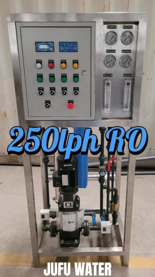 RO Plant Water Purifier Machine Reverse Osmosis Industrial Mini Water Treatment Machinery