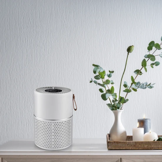 Best Ionizer Air Purifier Bedroom Desktop Kitchen Top Rated Air Purifiers 2022 Air Purifier